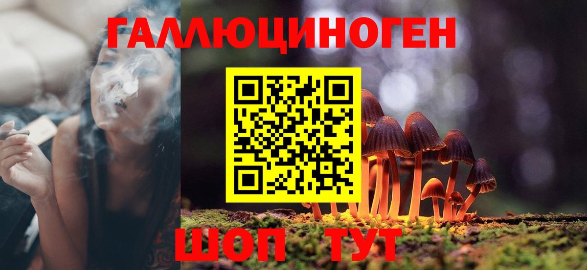 Галлюциногенные грибы Magic Shrooms  Вход с VPN  что такое   Алексеевка 