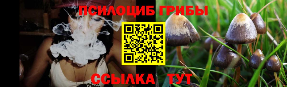 Галлюциногенные грибы GOLDEN TEACHER Алексеевка